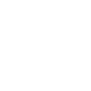pet toxicity treatment icon