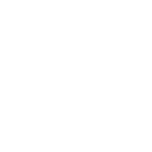 pet toxicity treatment icon