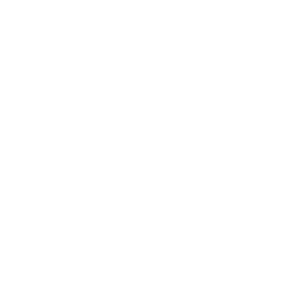 pet toxicity treatment icon